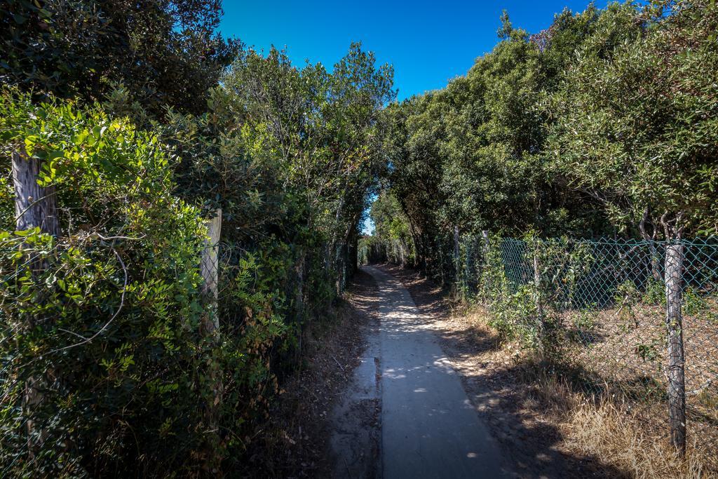 Camping Internazionale Etruria Castiglione della Pescaia Eksteriør bilde