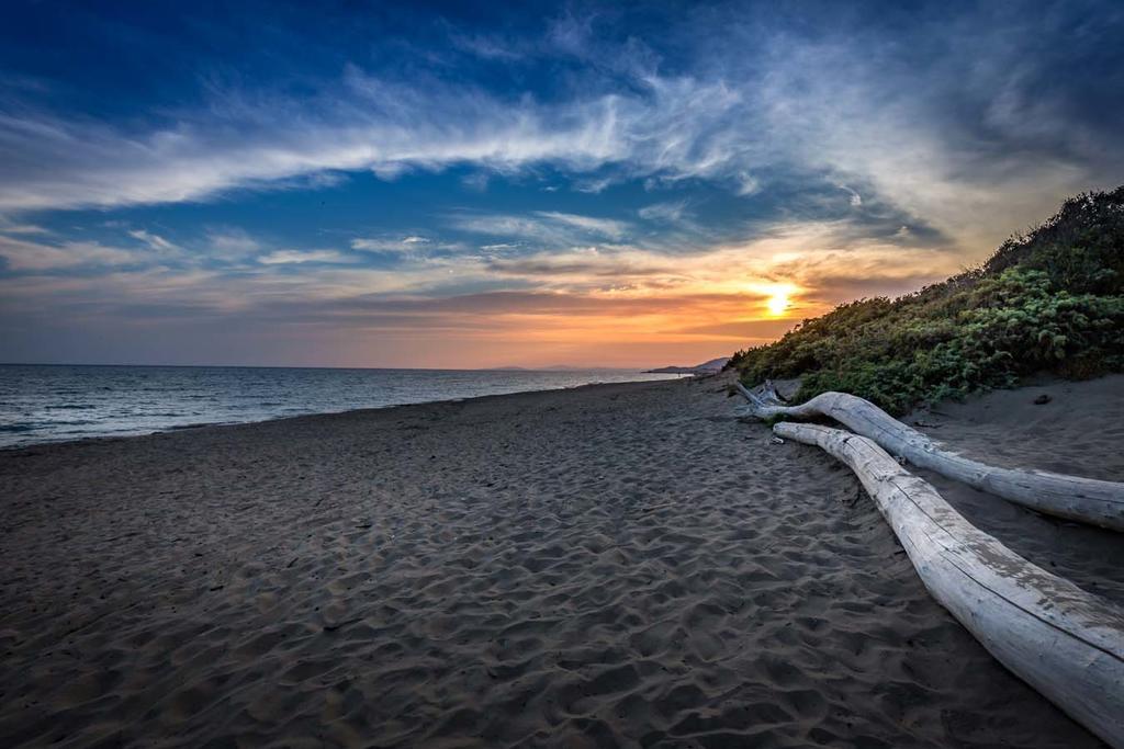 Camping Internazionale Etruria Castiglione della Pescaia Eksteriør bilde
