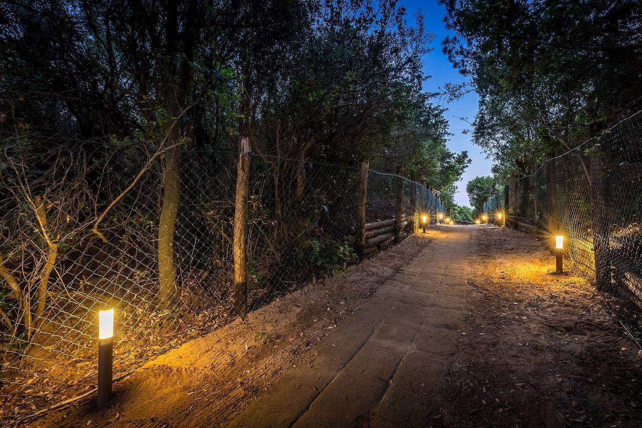Camping Internazionale Etruria Castiglione della Pescaia Eksteriør bilde