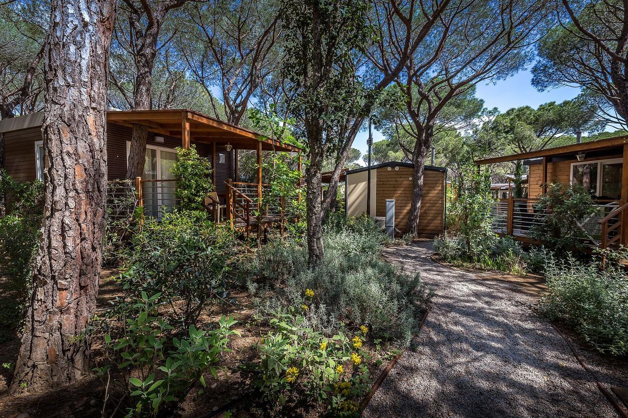 Camping Internazionale Etruria Castiglione della Pescaia Eksteriør bilde