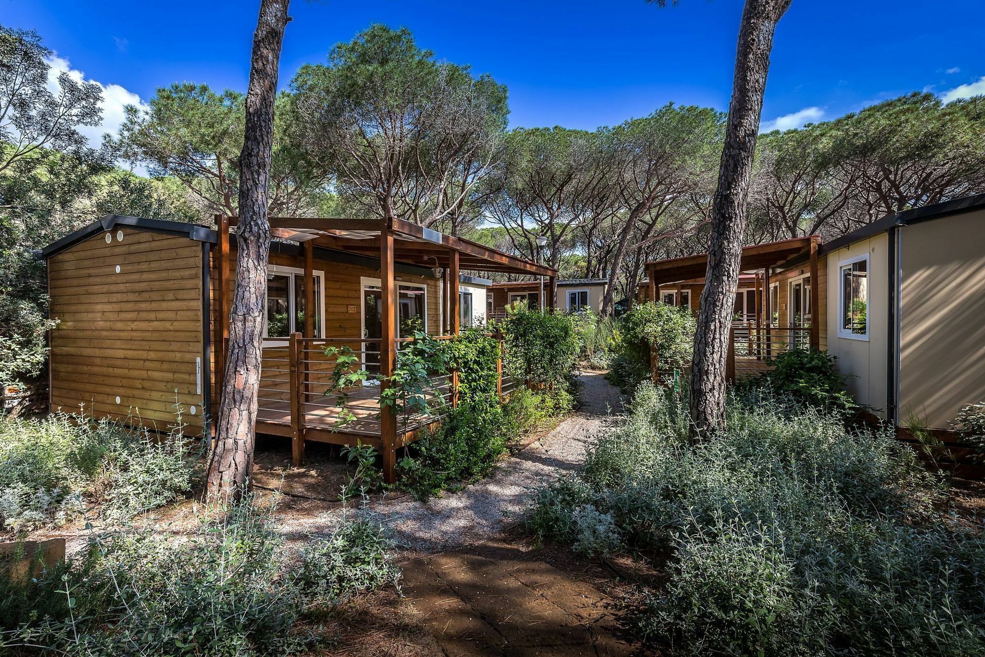 Camping Internazionale Etruria Castiglione della Pescaia Eksteriør bilde